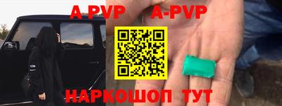 a pvp Камышлов
